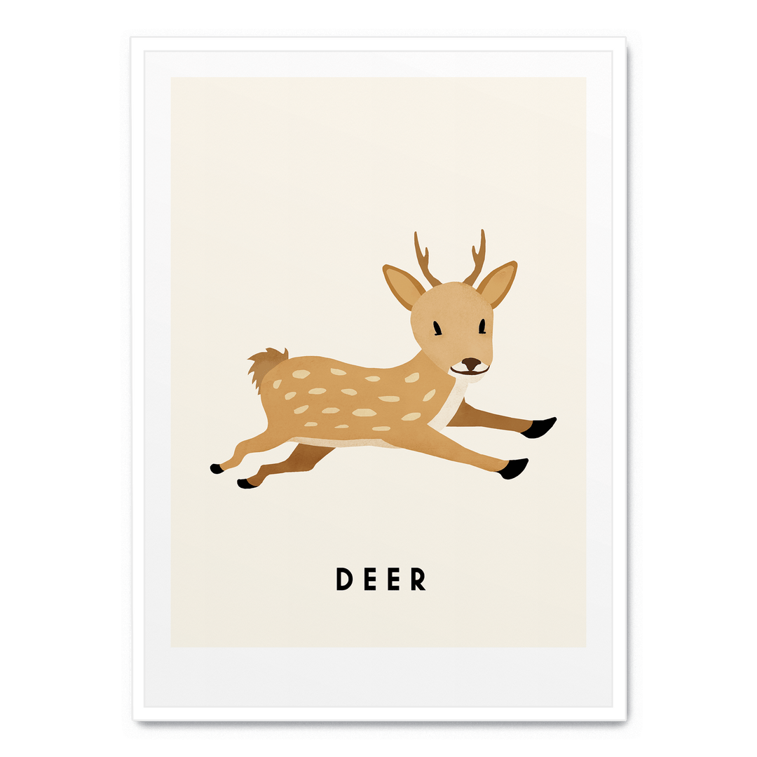 Little Deer