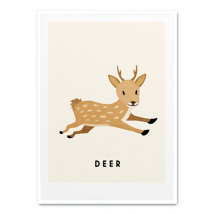 Little Deer