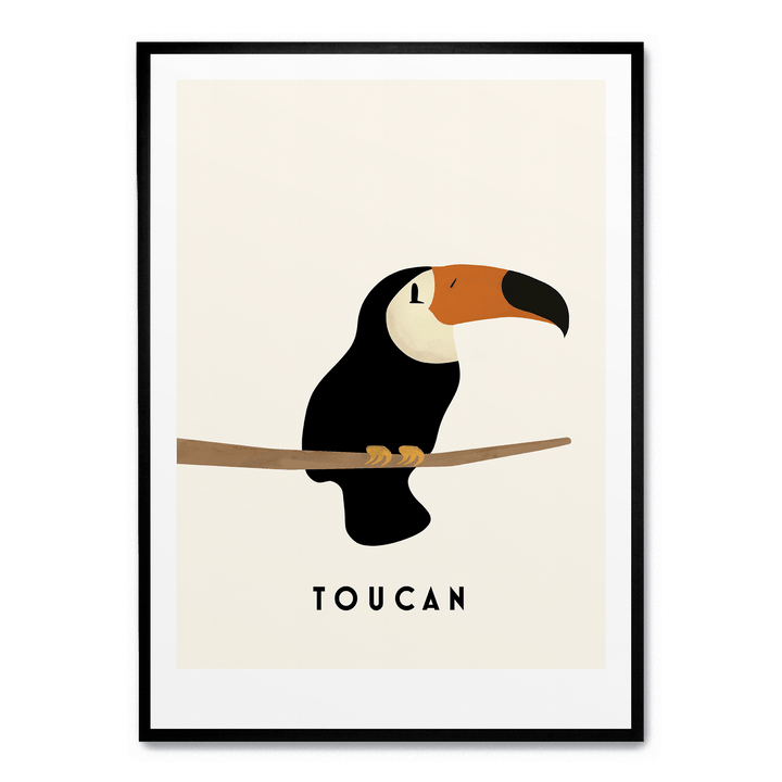 Little Toucan