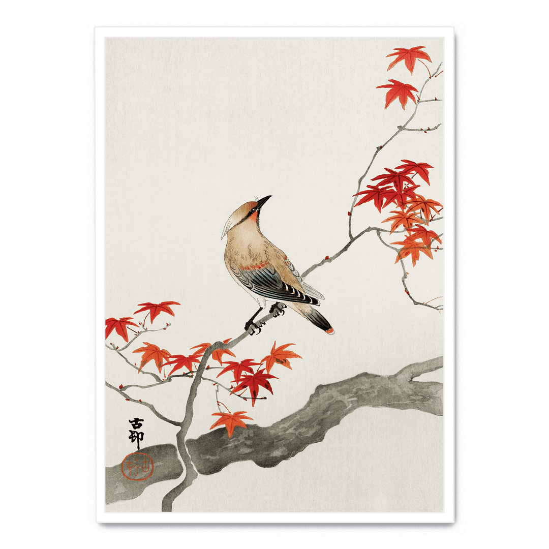 Ohara Koson - Plague Bird On Maple