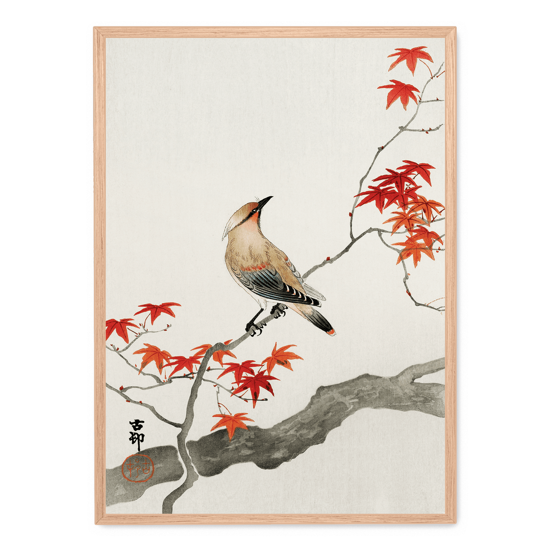 Ohara Koson - Plague Bird On Maple