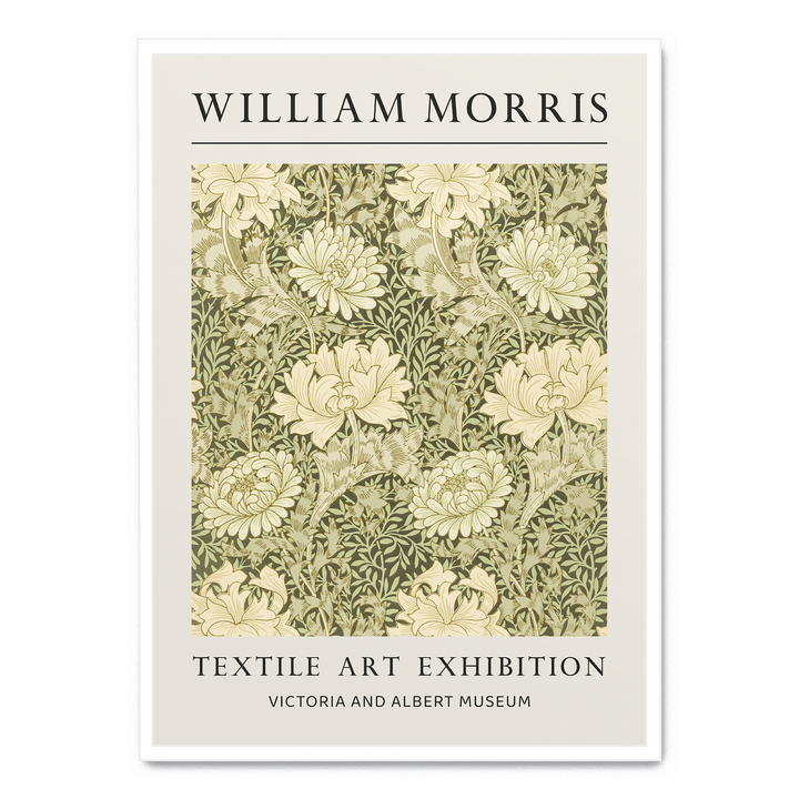 Chrysanthemum Pattern