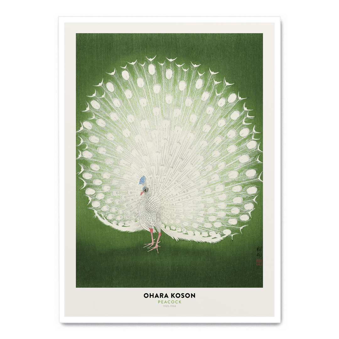 Ohara Koson - Peacock