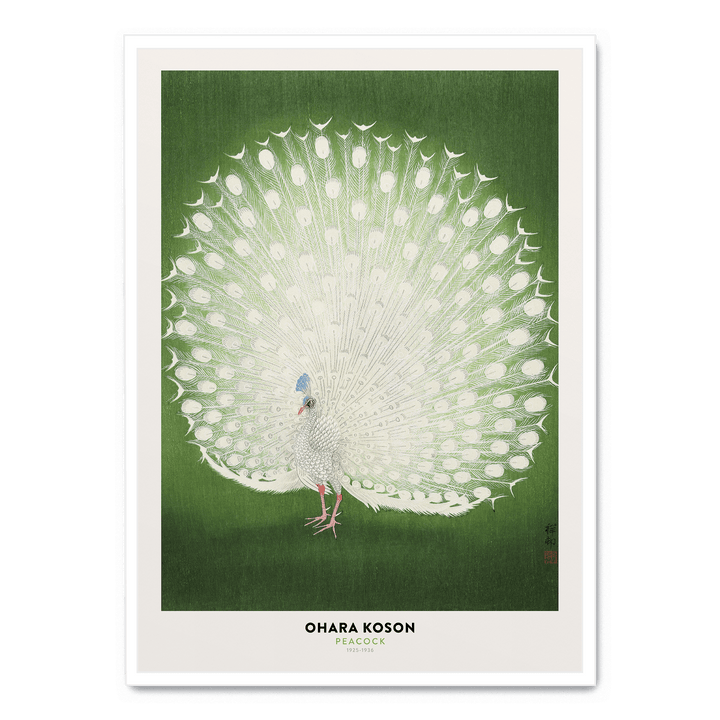 Ohara Koson - Peacock