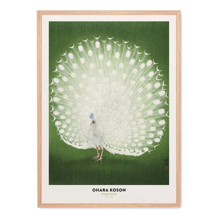 Ohara Koson - Peacock