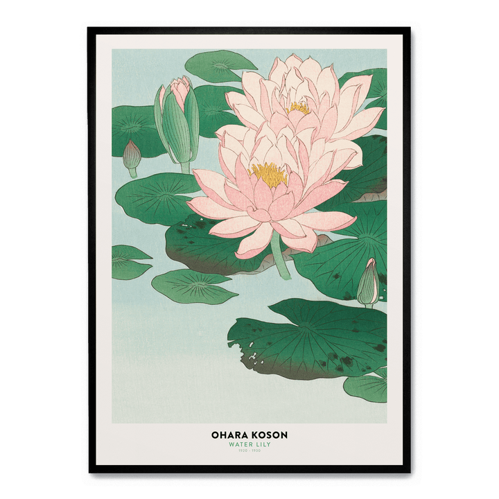Ohara Koson - Water Lily