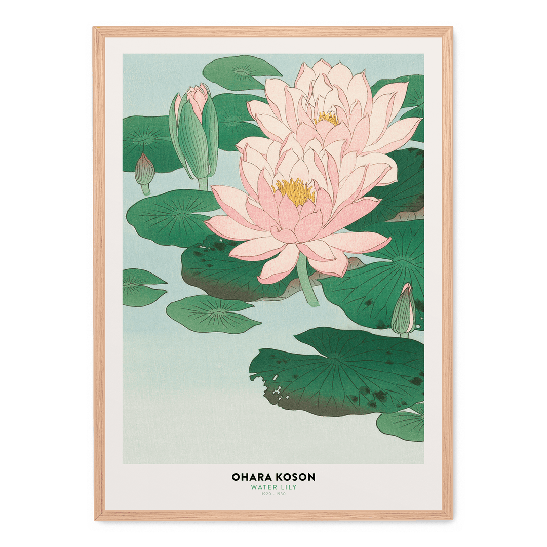 Ohara Koson - Water Lily