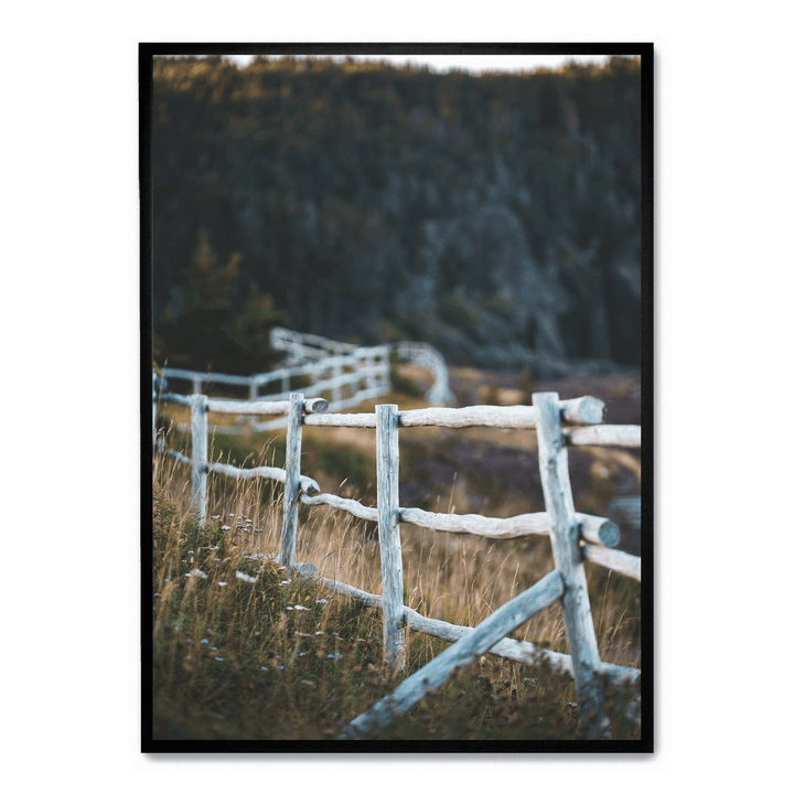 Fence In The Field