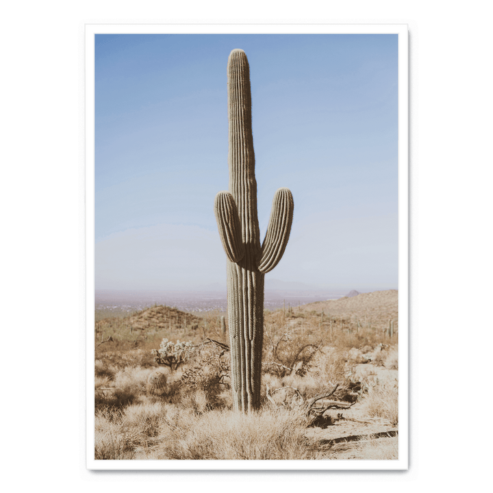Large Cactus