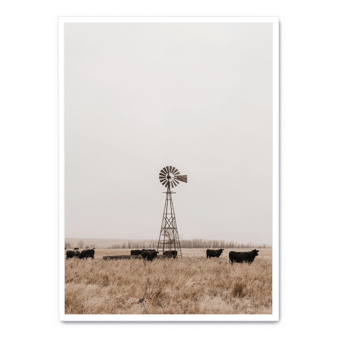 Old Fashioned Windmill