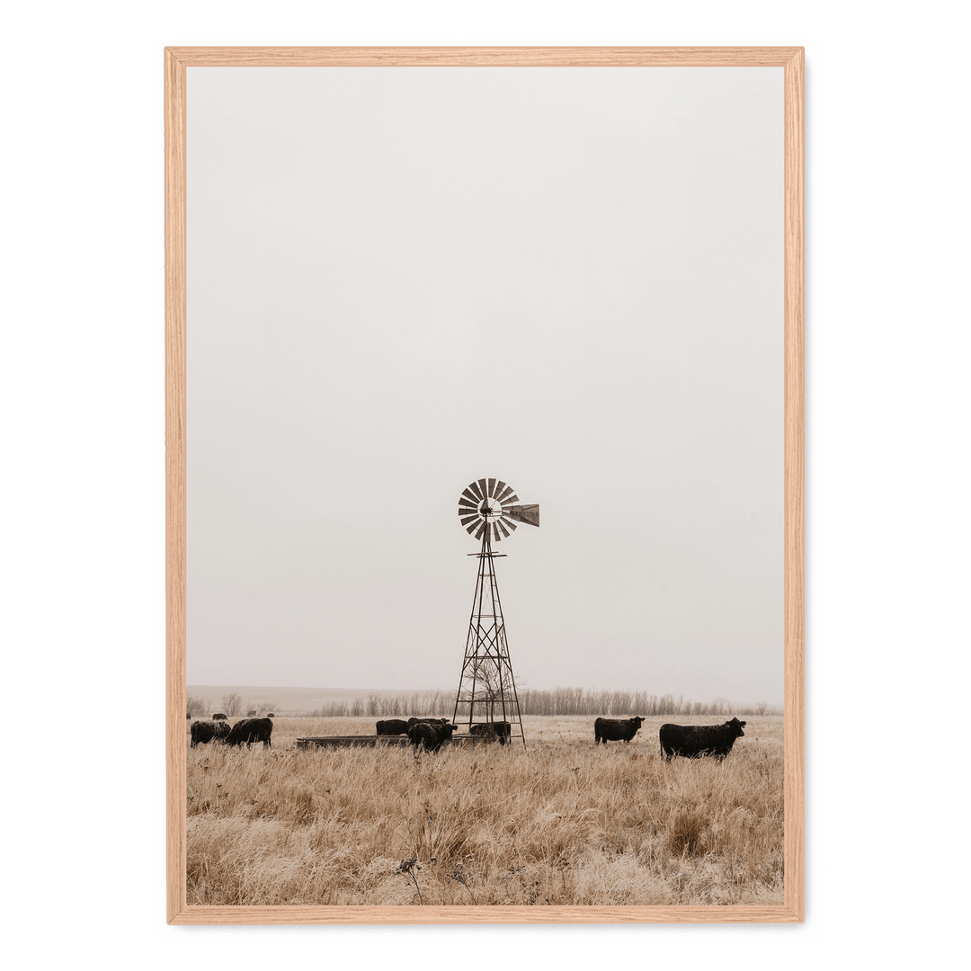 Old Fashioned Windmill