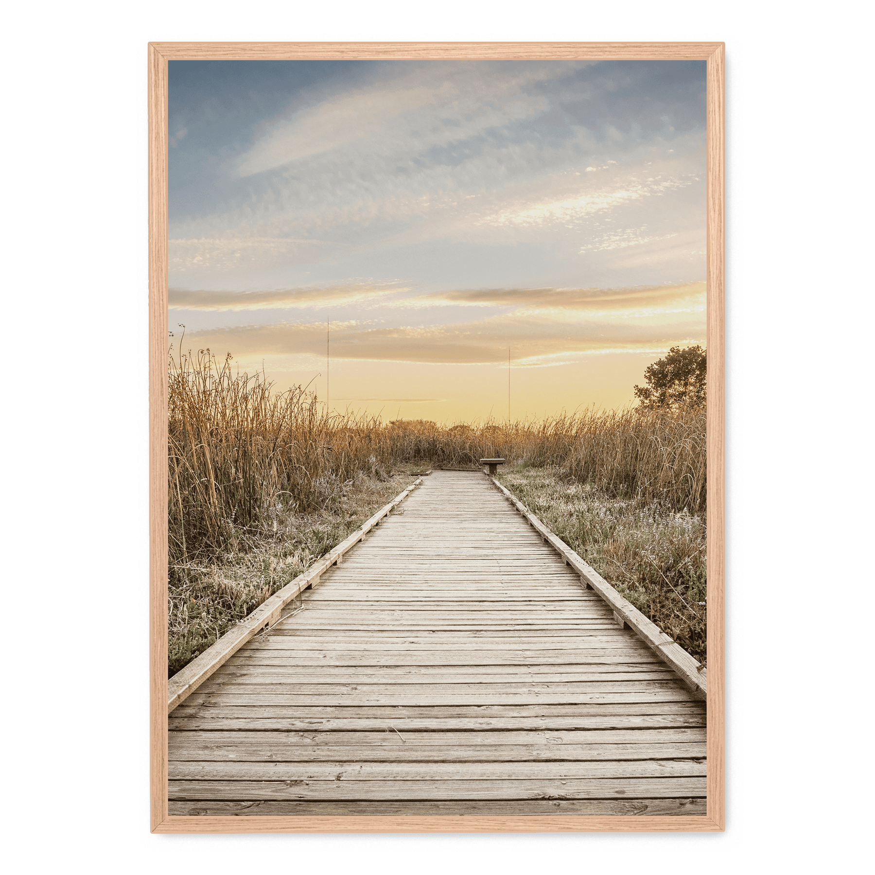 Pathway Affisch Postera Se