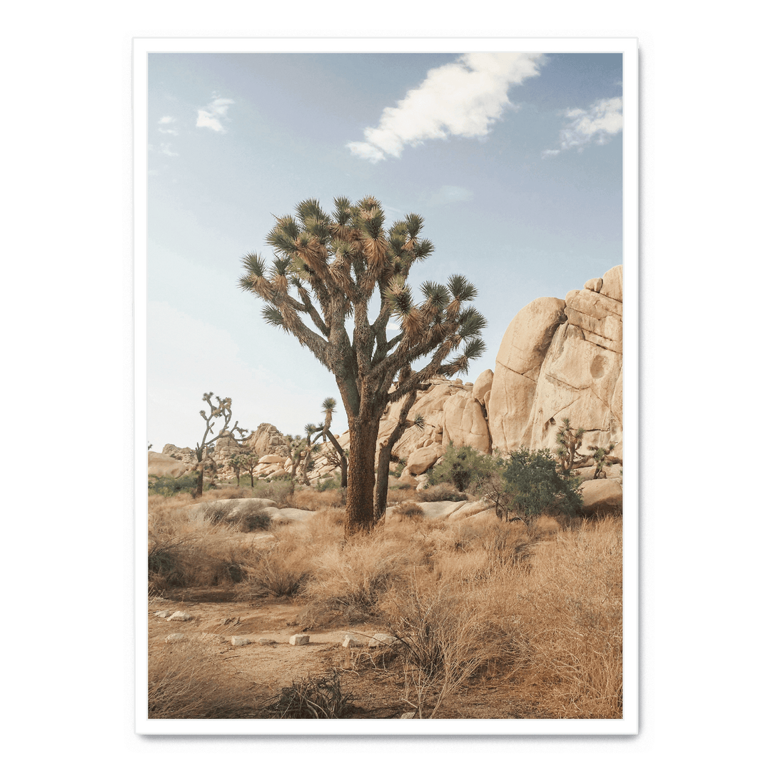 Tree In The Desert