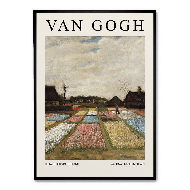 Flower Beds In Holland