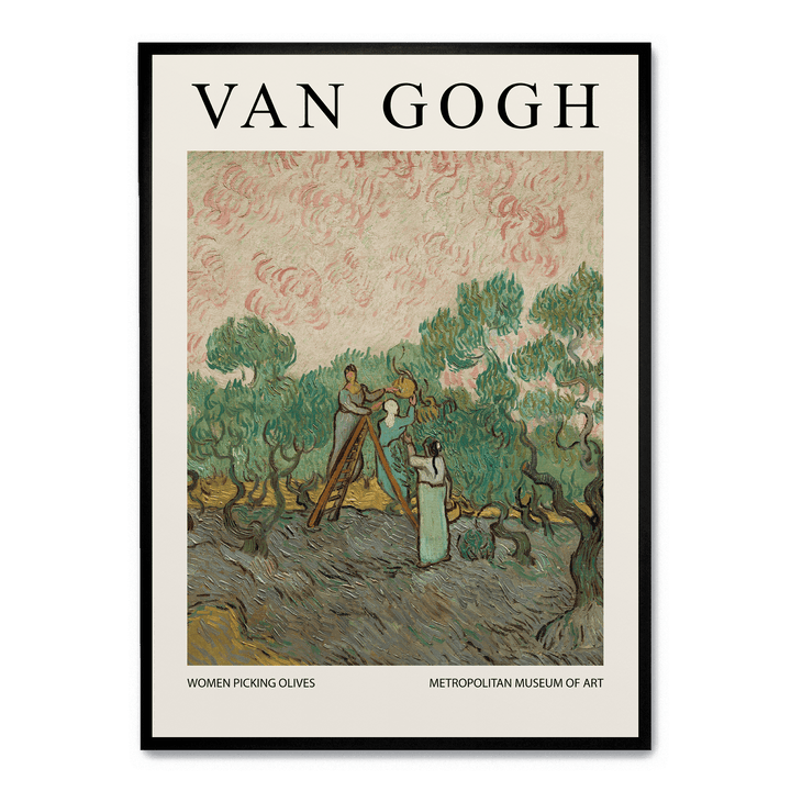 Women Picking Olives