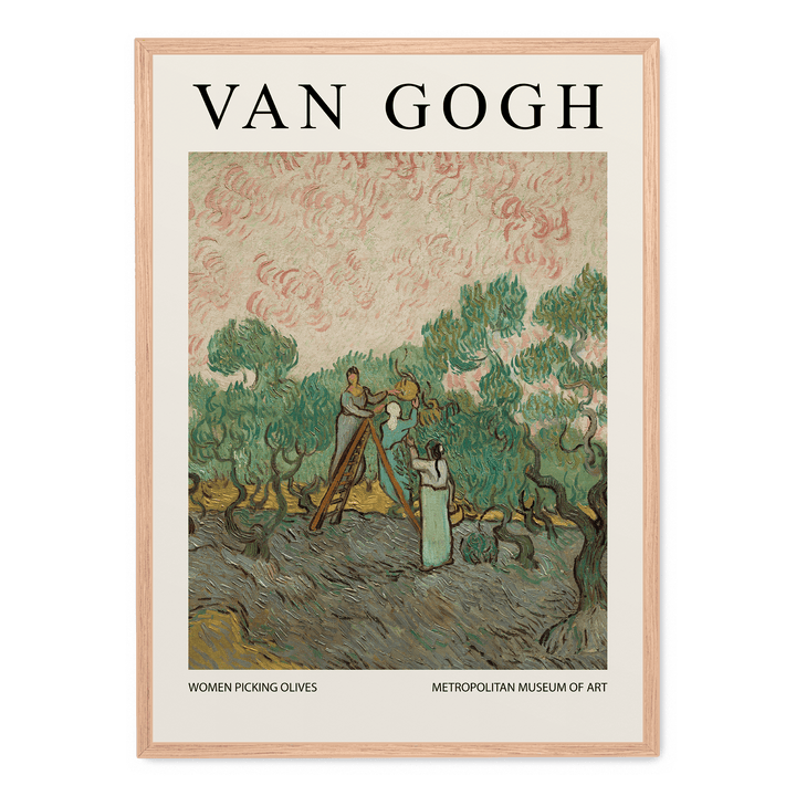 Women Picking Olives