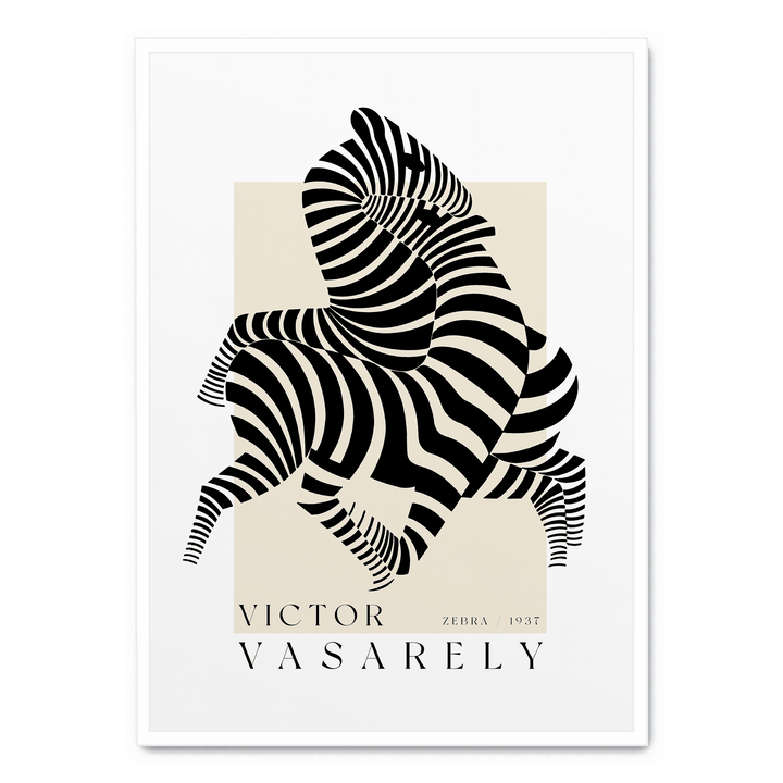 Zebra 1937