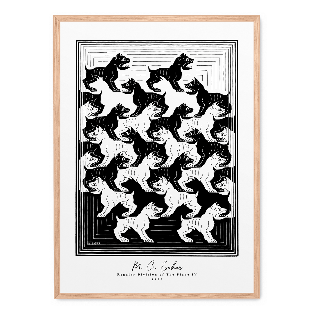 Regular Division Of The Plane IV