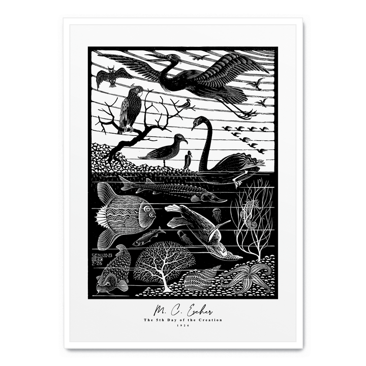 The 5th Day Of The Creation