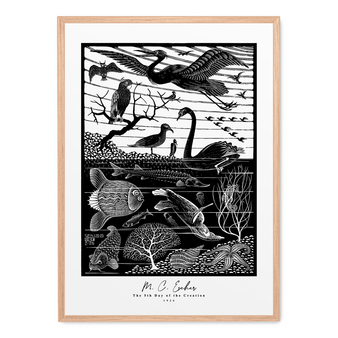 The 5th Day Of The Creation