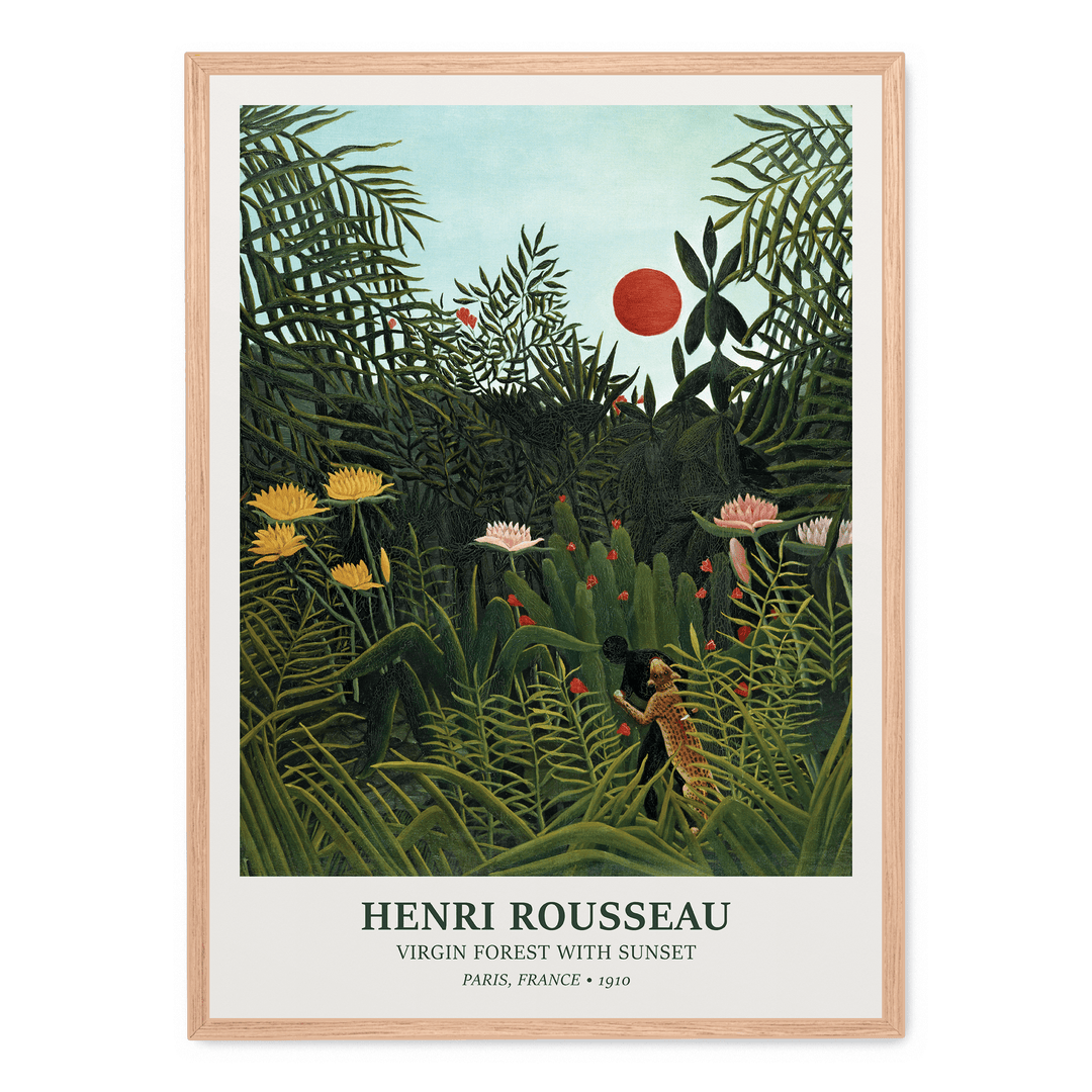 Virgin Forest With Sunset