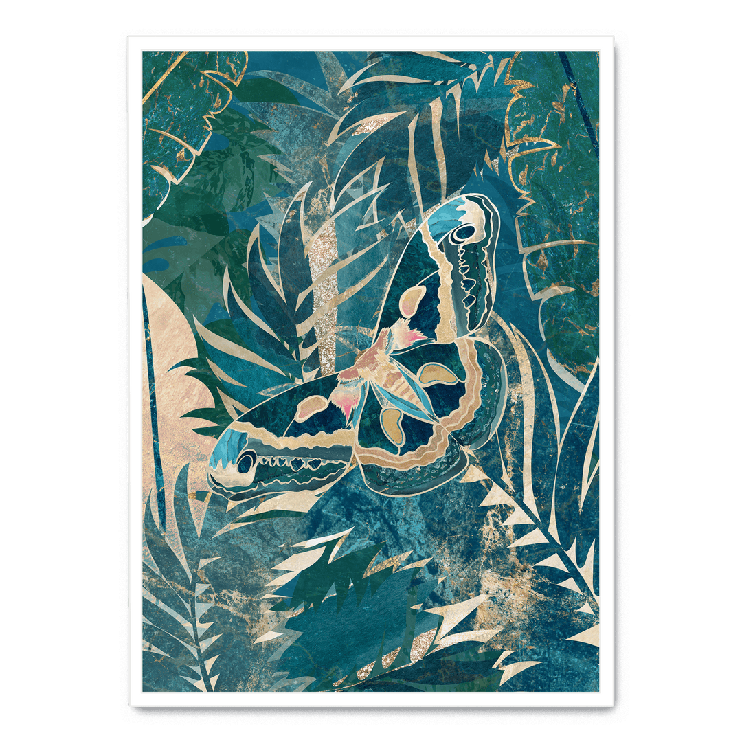 Moth In The Rainforest